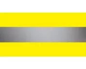 VizLite 305